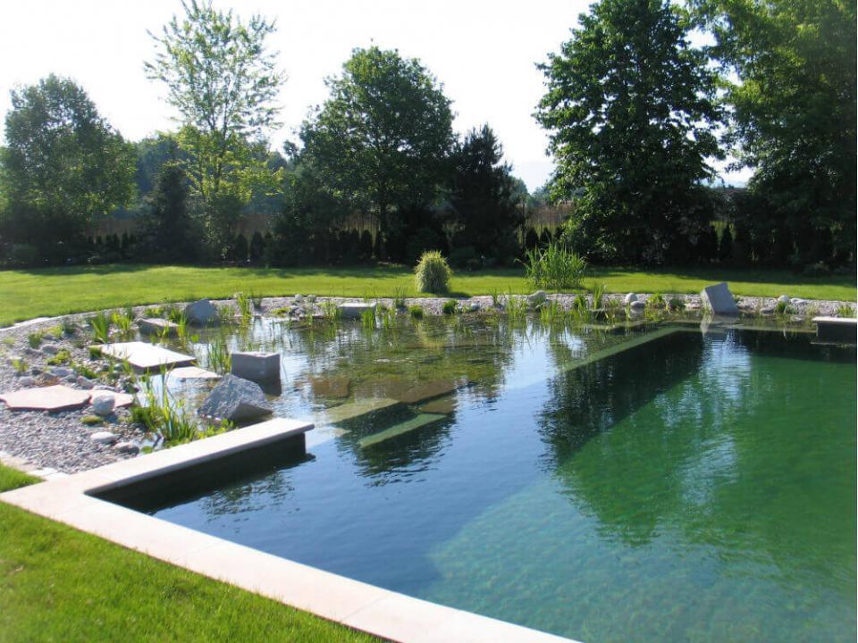Por que fazer uma piscina natural em casa?