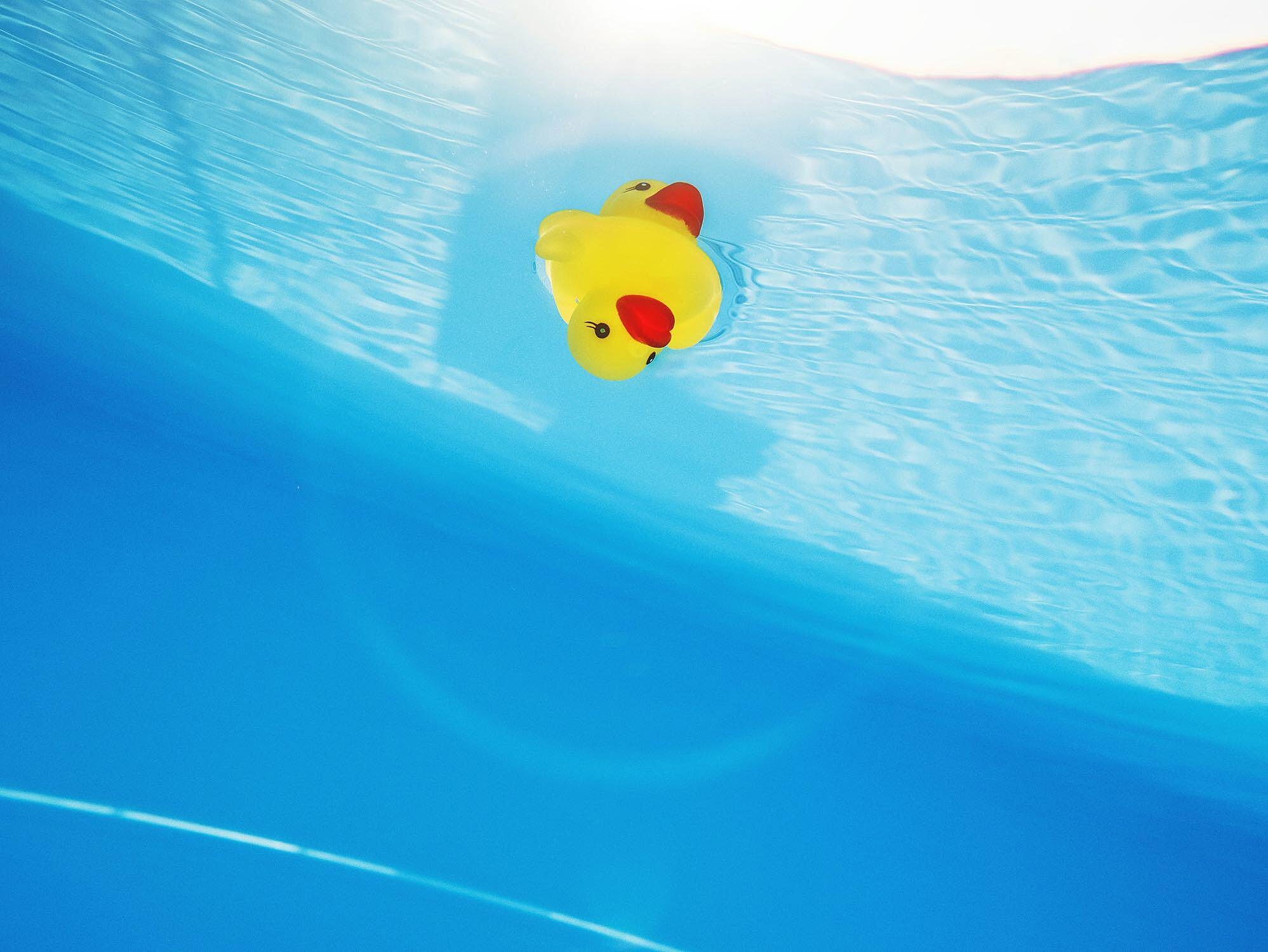 troca de vinil de piscina